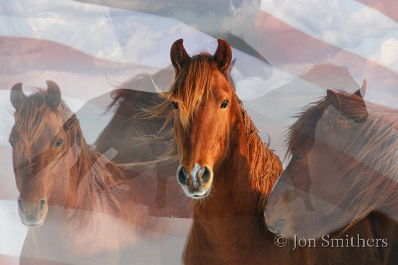 Horses-0076_7620Topaz-c-Flag.jpg - Rayo Del Sol (Ray of Sun)