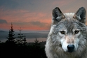 071005_2580we2