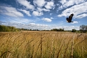 092708_9415te
