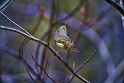 050209_9498-TS