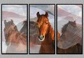 0076_7620-c-Flag-TRI