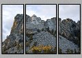 011309_5408-SD-TRI