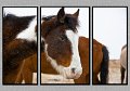 011409_4320-TRI
