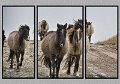011409_6395T-TRI