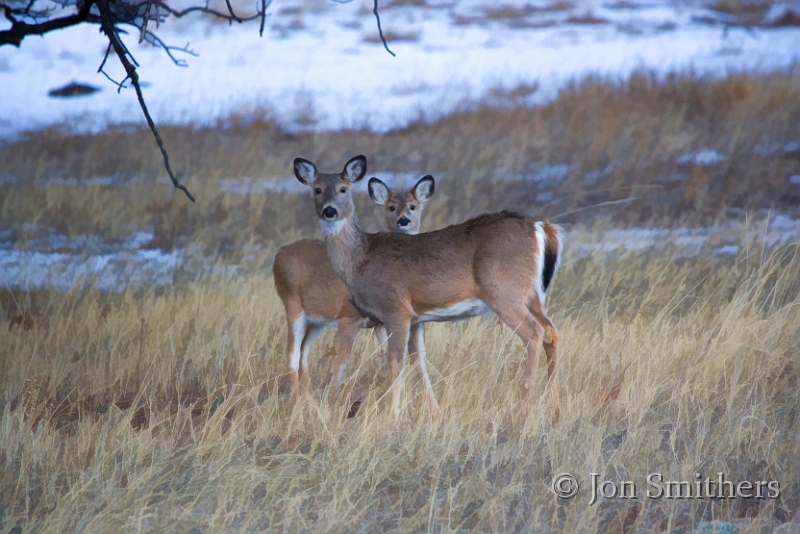 011210_4676-TS.jpg