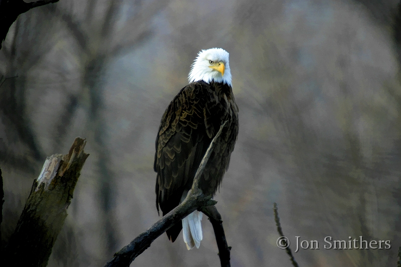 011604_6155LTS.JPG