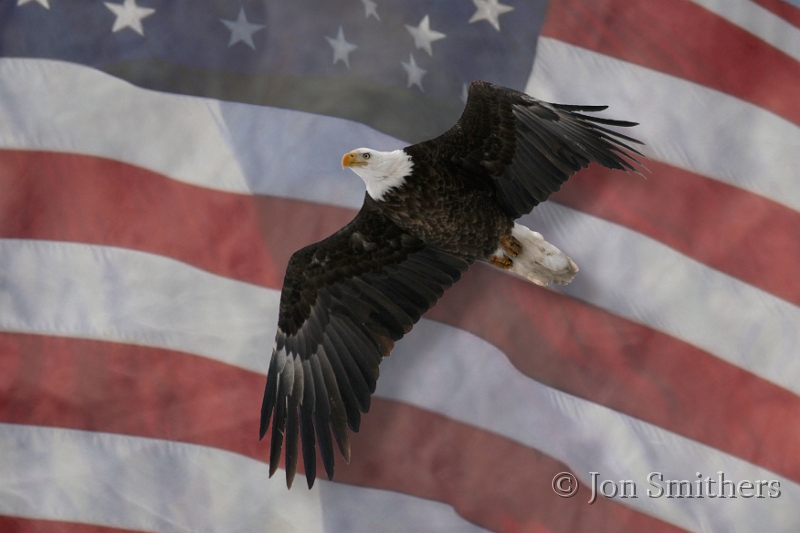 022205_2620-Flag.jpg