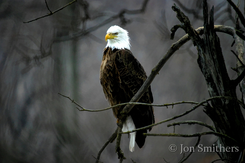 022504_8625LTS.JPG