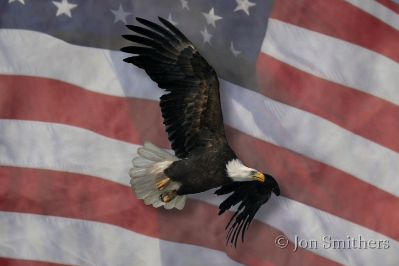 032505_7294-Flag.jpg