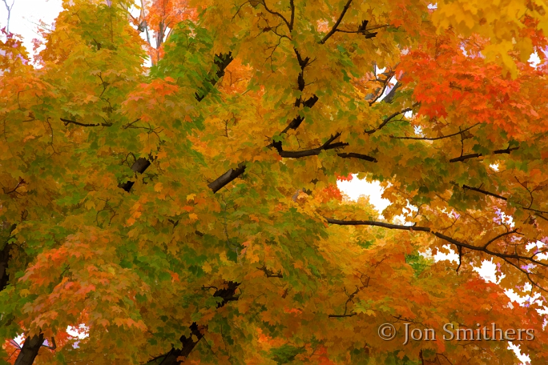 100910_0172-TS.jpg