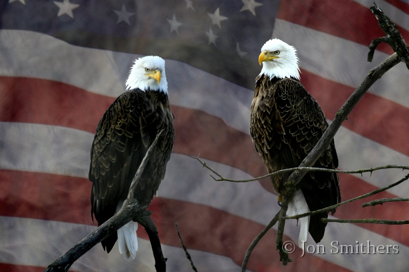 6155_8625-04-Flag.jpg