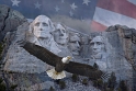 011309_5324-ECF