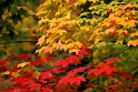 092105_1863TS