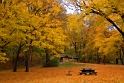 100910_0319-TS
