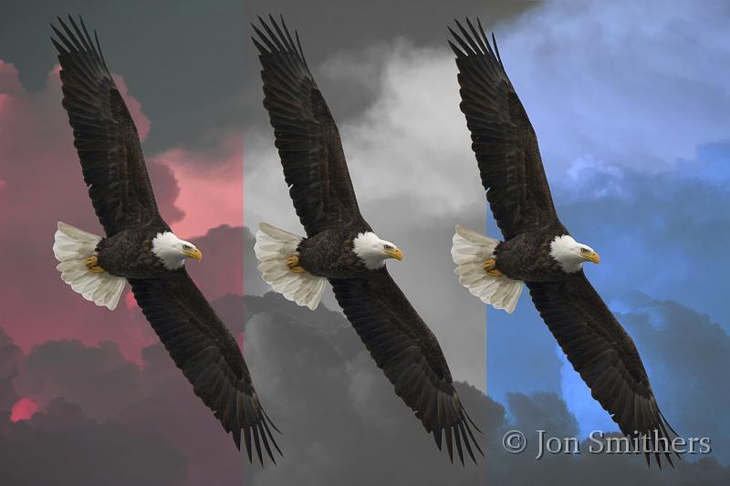 031808_6009cUSA-T.jpg