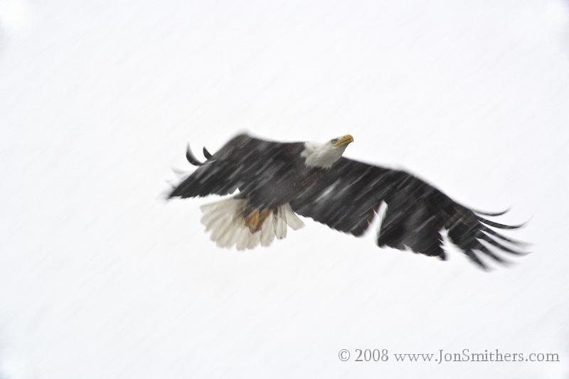 032108_8510.jpg