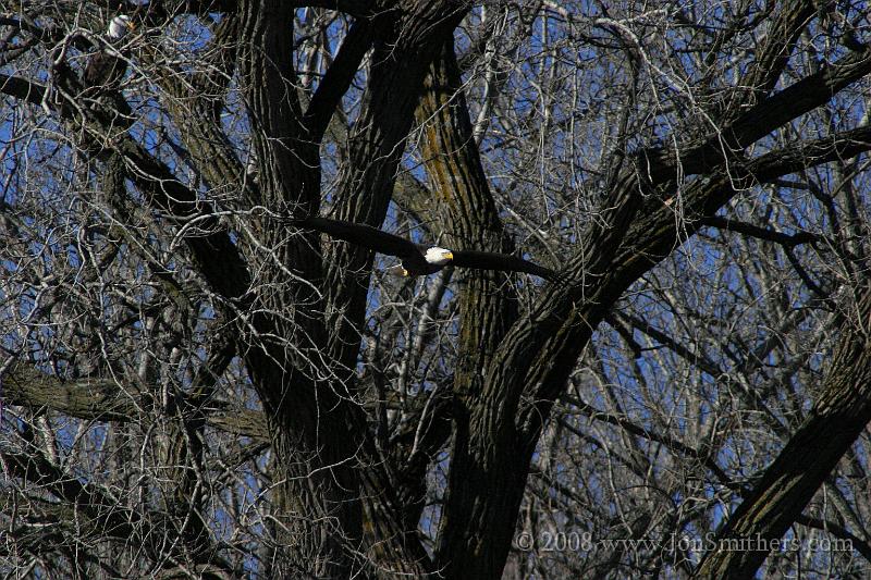 111803_6892.jpg