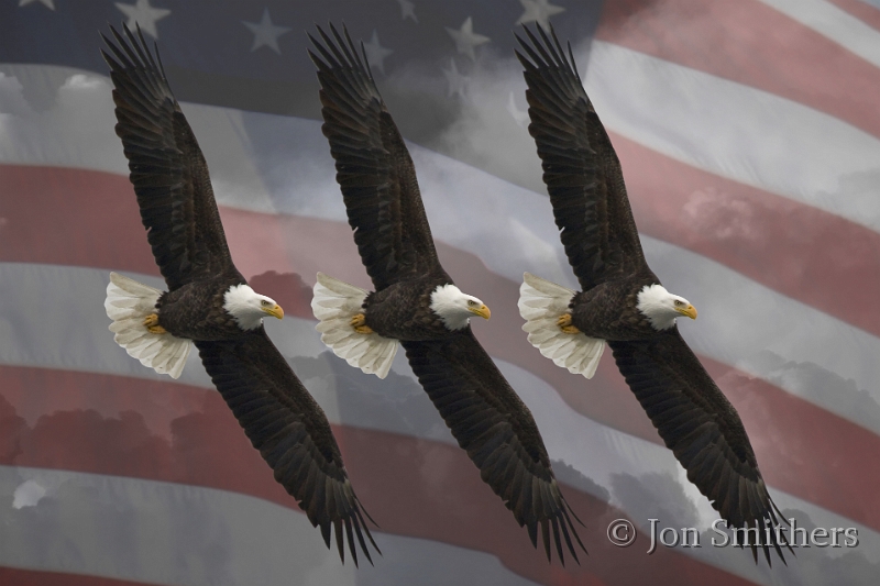 EaglesFlagClouds_4157.jpg