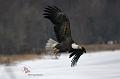 032505_7294lComb