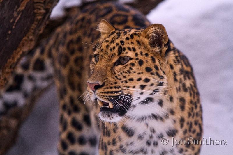 012711_5008-T.jpg