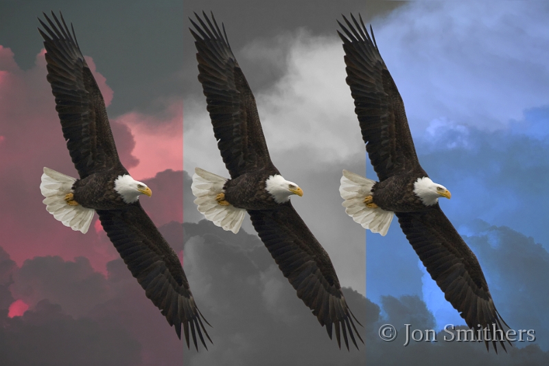 031808_6009-RWB.jpg
