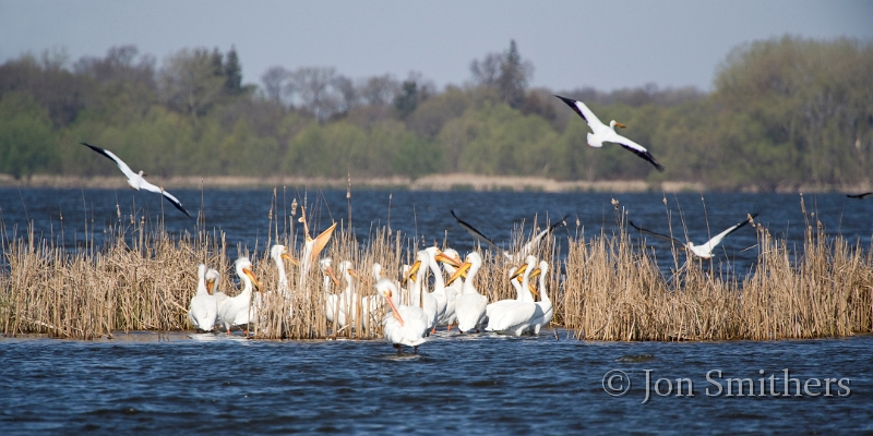 050209_9195-Wide.jpg