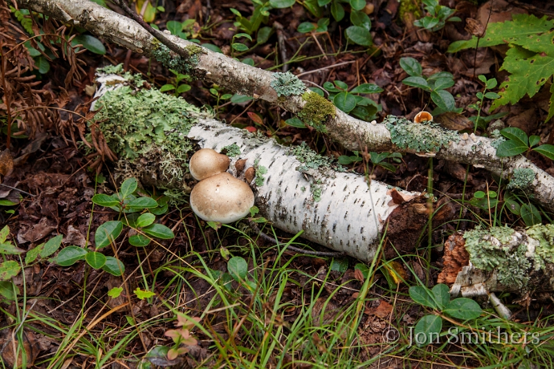 092013_3587.jpg