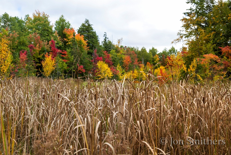 092113_4037-PAN.jpg