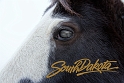 011409_1936-SDMRTS3