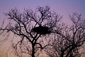 031412_3901-TA