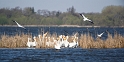 050209_9195-Wide