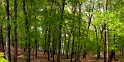 051813_1421-PanoC2-TS