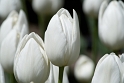 051909_1247m