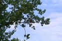 061810_1190