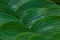 083009_5579T