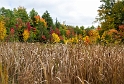 092113_4037-PAN