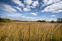 092708_9415t