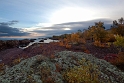 100912_7156m