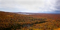 100912_7331m