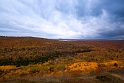 100912_7357