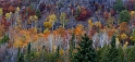 101112_9425-Pan