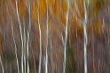 101212_9011