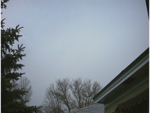 r0100081