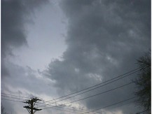 r0100098