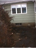 r0100194
