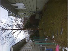 r0100196