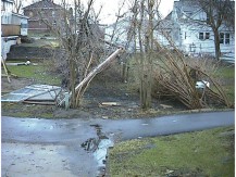 r0100264