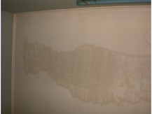 r0100270