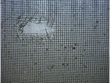 r0100278