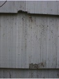 r0100443